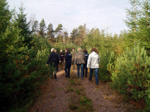 P� v�gen genom V�sterg�rds skog.